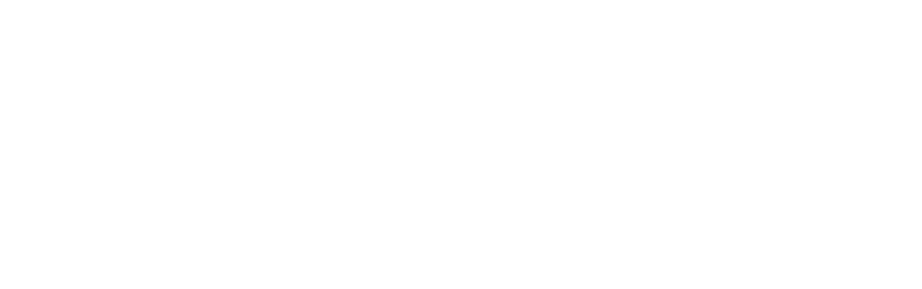 Spark Hire Management Solution Logo